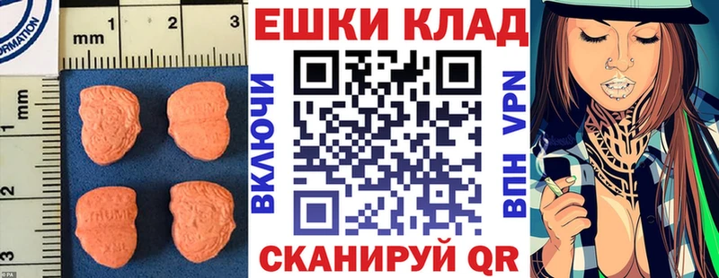 Ecstasy Philipp Plein  Купить закладки  Правдинск 