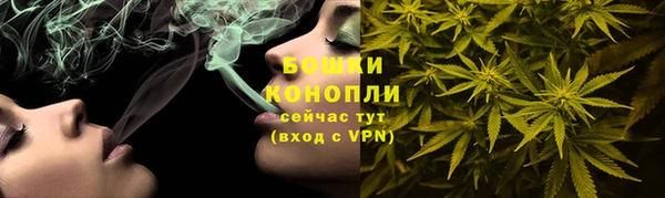 гидра Зеленодольск
