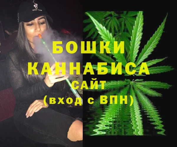 гидра Зеленодольск
