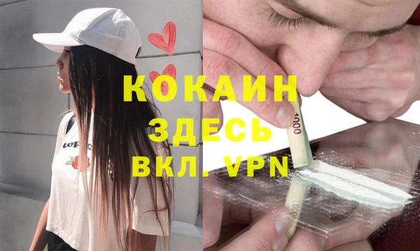 гидра Зеленодольск
