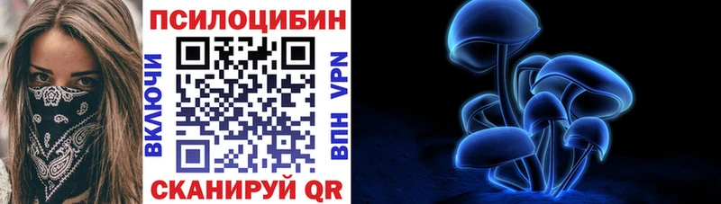 Псилоцибиновые грибы Magic Shrooms  Купить закладки  Правдинск 